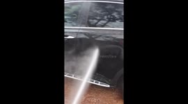 Ditch-Digging Puppy Helps With Washing the Car
