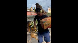 Feeding a Box of Bananas to a Group of Hungry Monkeys