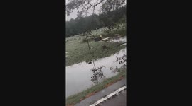 Hurricane Debby Floods Graveyard
