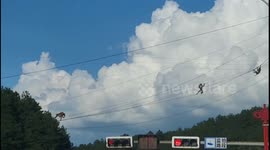 Astonishing footage captures monkeys 'tightrope walking' on utility lines in China
