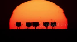Stunning sunrise behind Red Sands Towers in Kent, UK