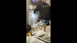 Builder rescues possum trapped in wall in New Zealand