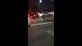 Person guides lost duck to safety in Buenos Aires, Argentina