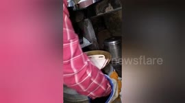 India: Forest department rescued a python in the kitchen of guest house in Haridwar