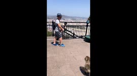 Monkey follows child for apple, becomes aggressive until given fruit