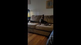 MacGyver's howl