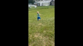 Little boy's playful spirit shines as he rolls down the park hill