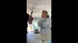 Newlyweds find out that they are expecting on their honeymoon trip