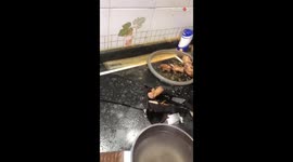 Kitchen mayhem: Pressure cooker explosion causes damage and broth spill
