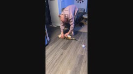 Hilarious calico kitty takes a spin with surprising tolerance