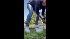 Cool cats: Louisiana strays get a 'Bean Dip' break
