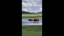 Neigh deep! Horse takes tourists for a ride through pond