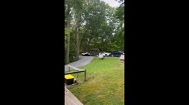 Black bear with a sweet tooth raids cabin for Hawaiian rolls