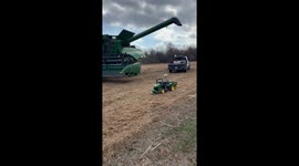 Little Farmer Helps Haul Beans In Tiny Tractor