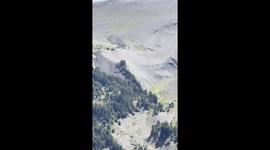 Wolf sighting garners over 8 million views turning mountain bike adventure into a thrill ride