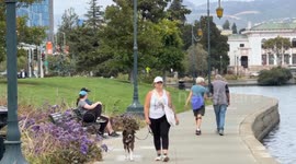 Sunny, Breezy Day in Oakland