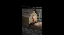 Young boy finds comfort playing in dog house with pets in China