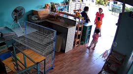 Track with burst tyre crashes into front of shop while family orders