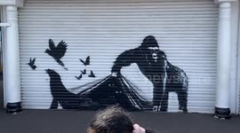 New Banksy appears on the gates of the London Zoo