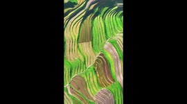 Amazing terraced fields in China's Qinghai