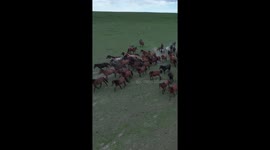Horses galloping at foot of Qilian Mountains in NW China