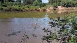 Hero angler leaps into dam to save drowning teenager who was cooling off in water