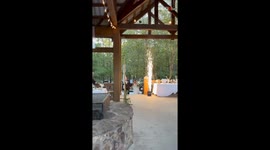 Fiery twist during wholesome wedding celebration as bouquet catches fire