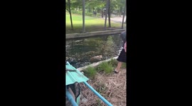 Schoolgirls rescue stray dog stuck in canal