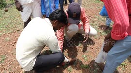 Daring devotees hunt and place scorpions on their body during festival in southern India