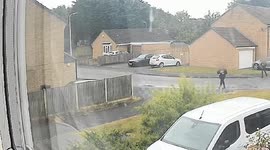 Videos show yobs 'using catapults to kill over 50 birds at seaside resort'