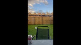 Football lover's smooth kick sends friend tumbling off the fence