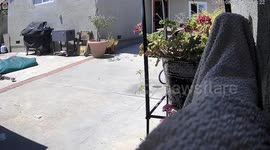 Earthquake Shakes El Sereno