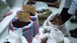 Kenya: Traditional African medicine grows in popularity across continent amid challenges
