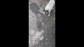 Mazikeen and water balloons