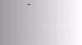 Dexamethasone - Uses, Mechanism Of Action, Pharmacology, Adverse Effects & Contraindications