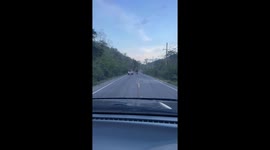 Hungry wild elephant imposes 'road toll' collecting food from pickup truck