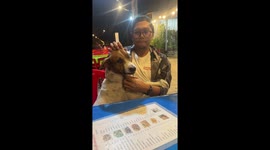 Stray dog cuddles with diner at outdoor restaurant