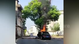 Ancient tree left in middle of road as it's 400 years old survivesbeing hit by Maserati that then caught fire