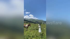Horse head butts woman posing for picture with it in field