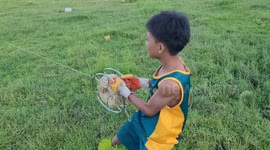 Youngster dragged across field by kite on windy day