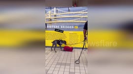 USA: TSA K-9 Baro Honored with Retirement Party at Pittsburgh International Airport