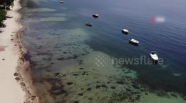Türkiye's Marmara Sea facing severe oxygen depletion: study