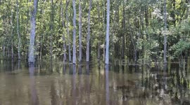 Horry SC Flood Aftermath