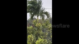 Puerto Rico: Hurricane Ernesto Knocks Out Power, Brings Flash Flooding