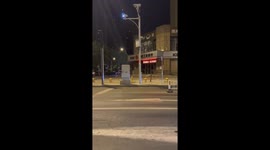 Cat balances on delivery box during ride through Chinese Street