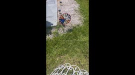 Loving mom decorates late son's gravesite on his 32nd birthday *EMOTIONAL!*