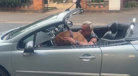 Cool dog wearing sunglasses rides in a sports car in the UK