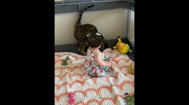 Cat almost lets his annoyance get the best of him during cute interaction with baby