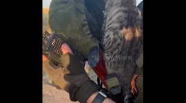 22 conscripts and a cat were rescued by Russian soldiers in Kursk region