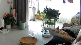 Chinese woman discovers hilarious 'dance' between robot vacuum and plant stand on home security camera